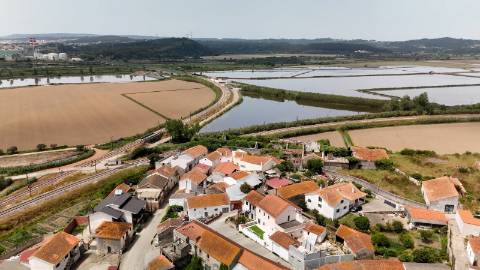 Casa de Adega e Alambique para Reconstrução – Entre Soure e Figueira da Foz