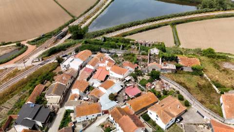 Casa de Adega e Alambique para Reconstrução – Entre Soure e Figueira da Foz