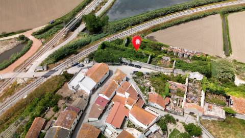 Casa de Adega e Alambique para Reconstrução – Entre Soure e Figueira da Foz