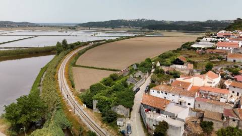 Casa de Adega e Alambique para Reconstrução – Entre Soure e Figueira da Foz