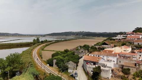 Casa de Adega e Alambique para Reconstrução – Entre Soure e Figueira da Foz