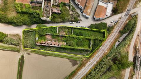 Casa de Adega e Alambique para Reconstrução – Entre Soure e Figueira da Foz