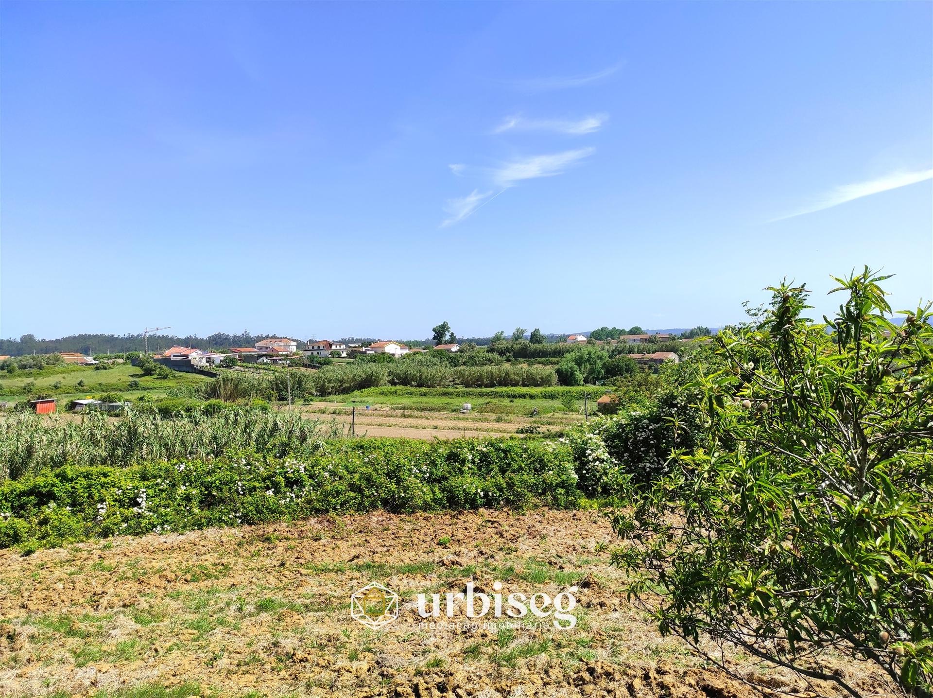 A CASA DO BECO DA BELA VISTA 18 -  MAIORCA- 48.000€