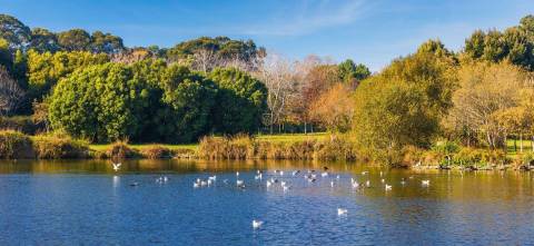 T4 com 168.02 m2 e varanda, em condomínio de luxo, Matosinhos Sul