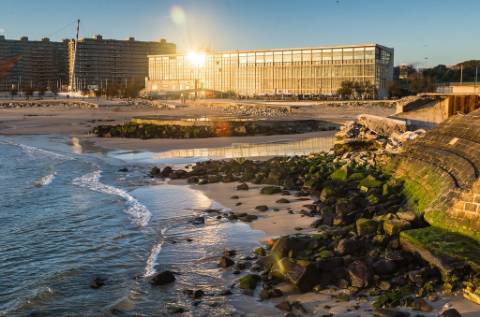 T1 com 53 m2 e logradouro em Matosinhos Sul