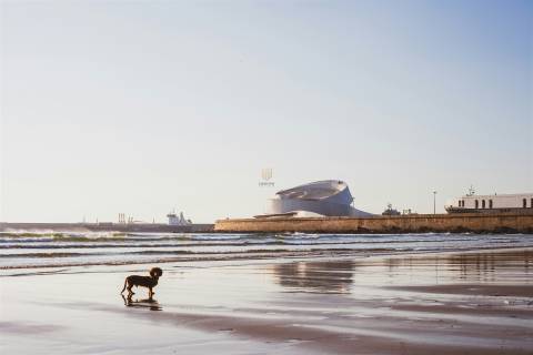 T1 com 53 m2 em Matosinhos Sul