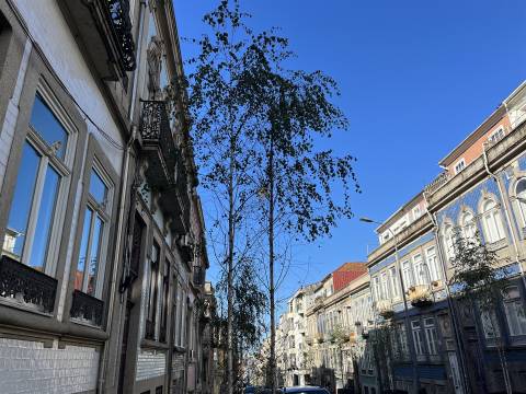 Estudio à Praça da República