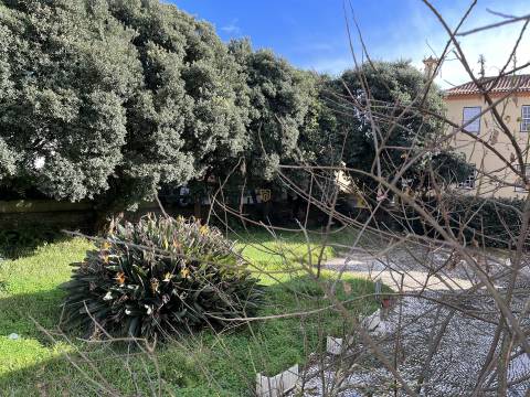 MORADIA GRANJA - 1ª linha de Mar