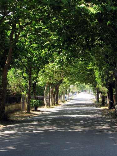 MORADIA GRANJA - 1ª linha de Mar