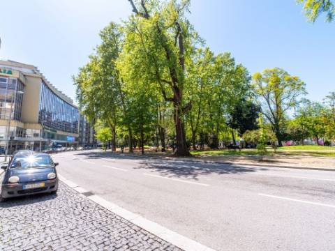 Loja para arrendar na zona da Boavista