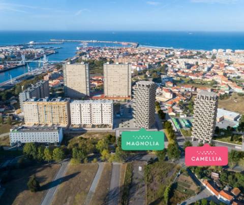 Apartamento T1 Venda em Matosinhos e Leça da Palmeira,Matosinhos