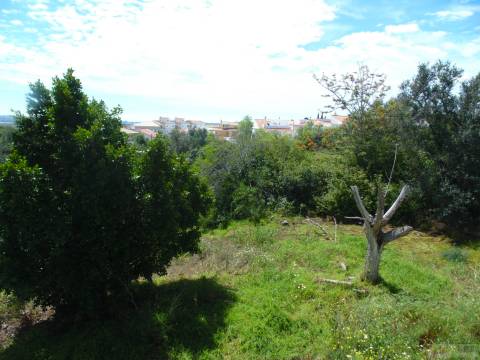 Lote de terreno para loteamento em Mexilhoeira grande.