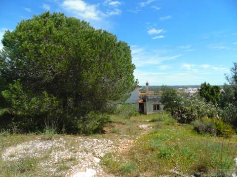 Lote de terreno para loteamento em Mexilhoeira grande.