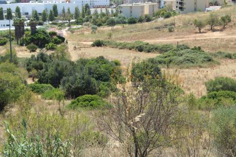 Excelente terreno para construção de blocos apartamentos em Lagos