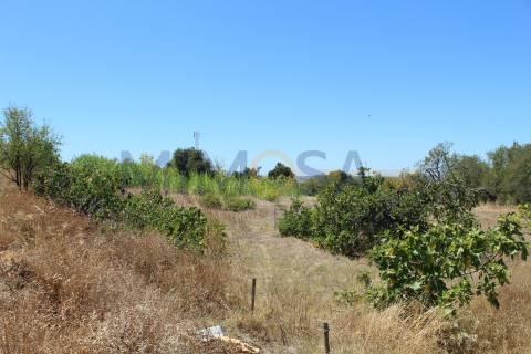 Terreno com projeto de loteamento em Portimão.
