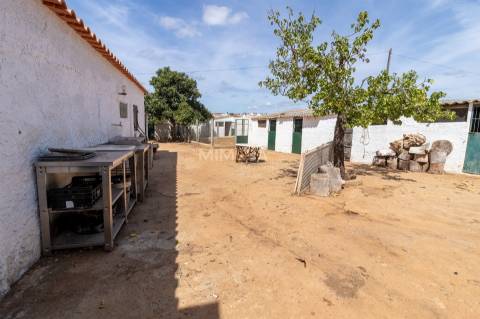 Fantástica Quinta de exploração agrícola