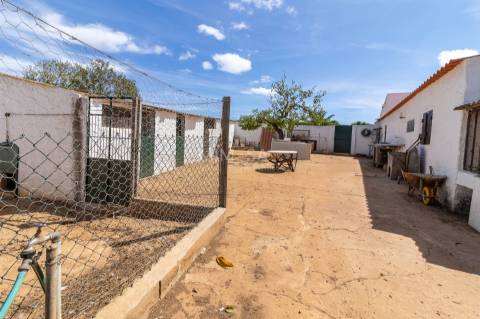 Fantástica Quinta de exploração agrícola