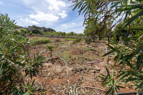 Fantástica Quinta de exploração agrícola