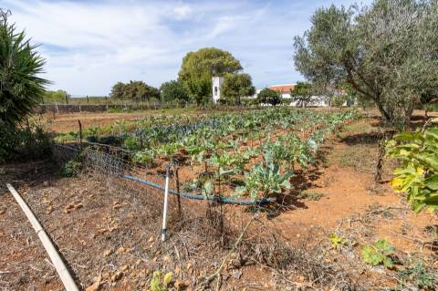 Fantástica Quinta de exploração agrícola