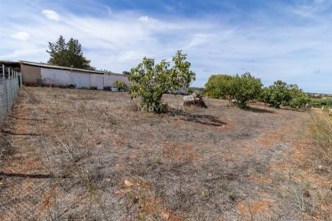 Fantástica Quinta de exploração agrícola