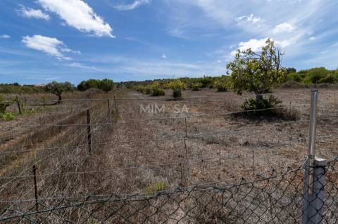 Fantástica Quinta de exploração agrícola