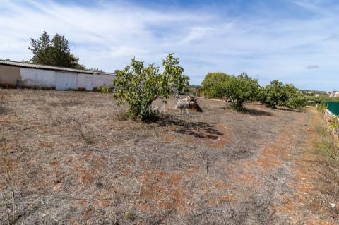 Fantástica Quinta de exploração agrícola