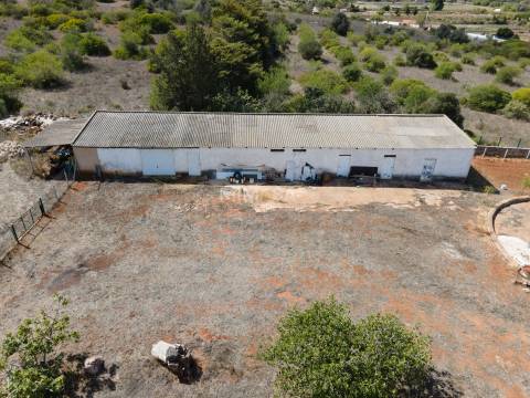 Encantadora Quinta T3 entre Burgau e Almadena – 3,8 ha de terreno