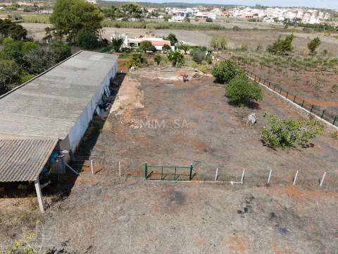 Encantadora Quinta T3 entre Burgau e Almadena – 3,8 ha de terreno