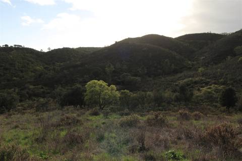 Quinta Espetacular em Aljezur: Oportunidade de Investimento Turístico