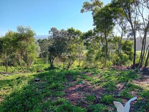 Terreno Agrícola com Vista Mar – Cabeço de Águia, Rogil (Aljezur)