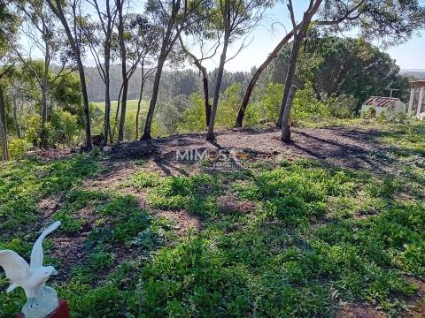 Terreno Agrícola com Vista Mar – Cabeço de Águia, Rogil (Aljezur)