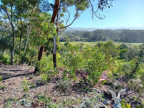 Terreno Agrícola com Vista Mar – Cabeço de Águia, Rogil (Aljezur)