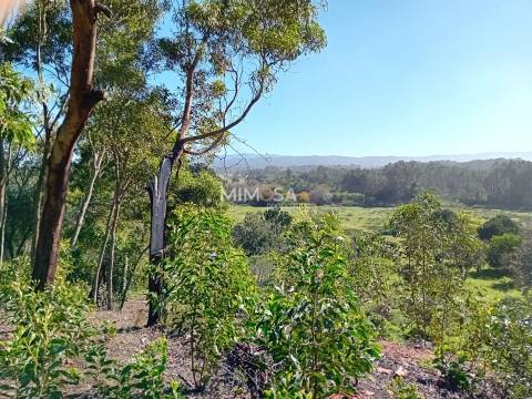 Terreno Agrícola com Vista Mar – Cabeço de Águia, Rogil (Aljezur)