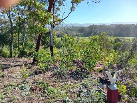 Terreno Agrícola com Vista Mar – Cabeço de Águia, Rogil (Aljezur)