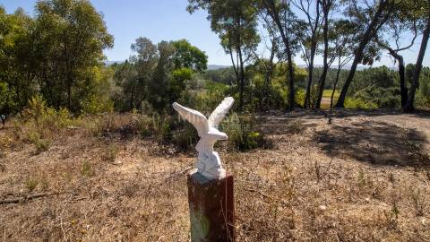 Terreno Agrícola com Vista Mar – Cabeço de Águia, Rogil (Aljezur)