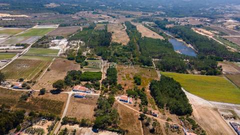 Terreno Agrícola com Vista Mar – Cabeço de Águia, Rogil (Aljezur)