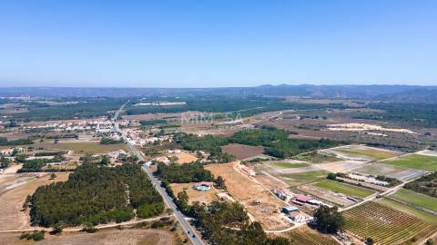 Terreno Agrícola com Vista Mar – Cabeço de Águia, Rogil (Aljezur)