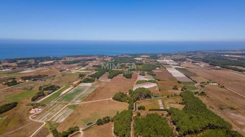 Terreno Agrícola com Vista Mar – Cabeço de Águia, Rogil (Aljezur)