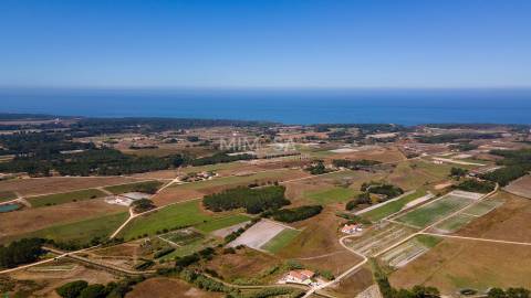Terreno Agrícola com Vista Mar – Cabeço de Águia, Rogil (Aljezur)