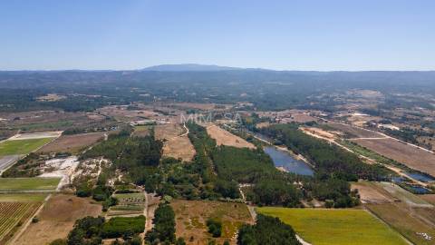 Terreno Agrícola com Vista Mar – Cabeço de Águia, Rogil (Aljezur)