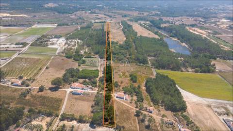 Terreno Agrícola com Vista Mar – Cabeço de Águia, Rogil (Aljezur)