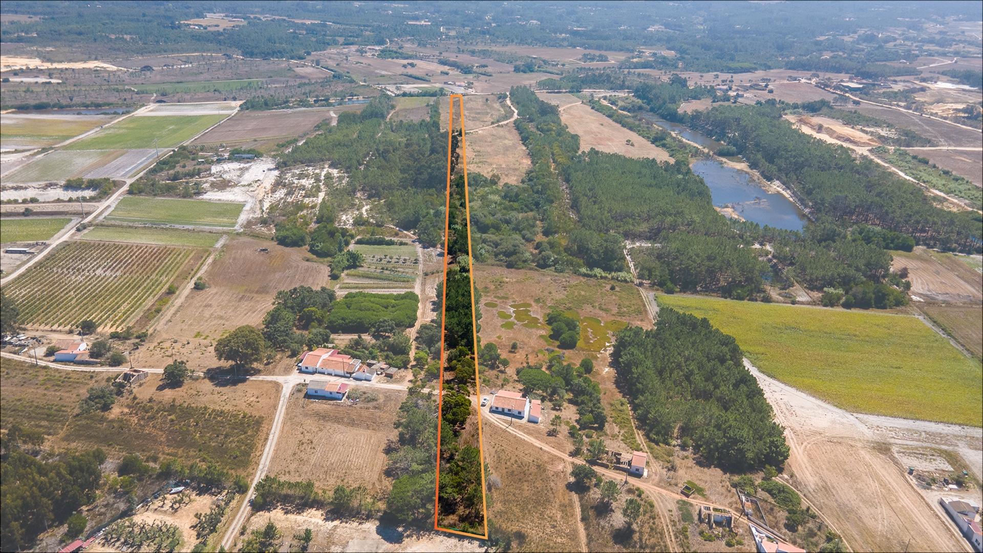 Terreno Agrícola com Vista Mar – Cabeço de Águia, Rogil (Aljezur)
