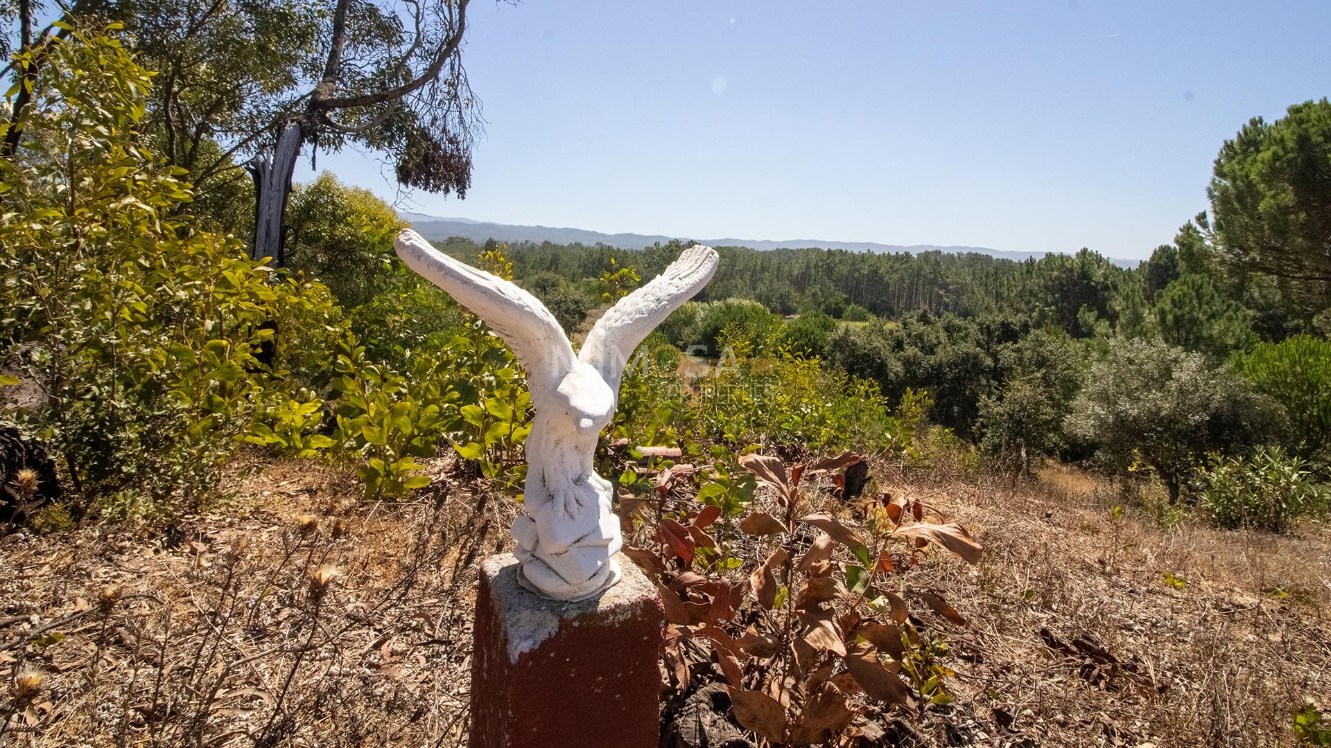Terreno Agrícola com Vista Mar – Cabeço de Águia, Rogil (Aljezur)
