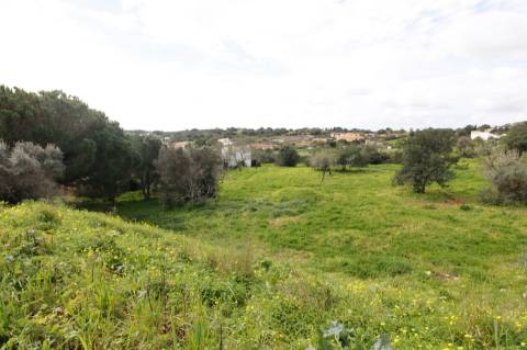 Terreno para Moradia T4 em Alvor