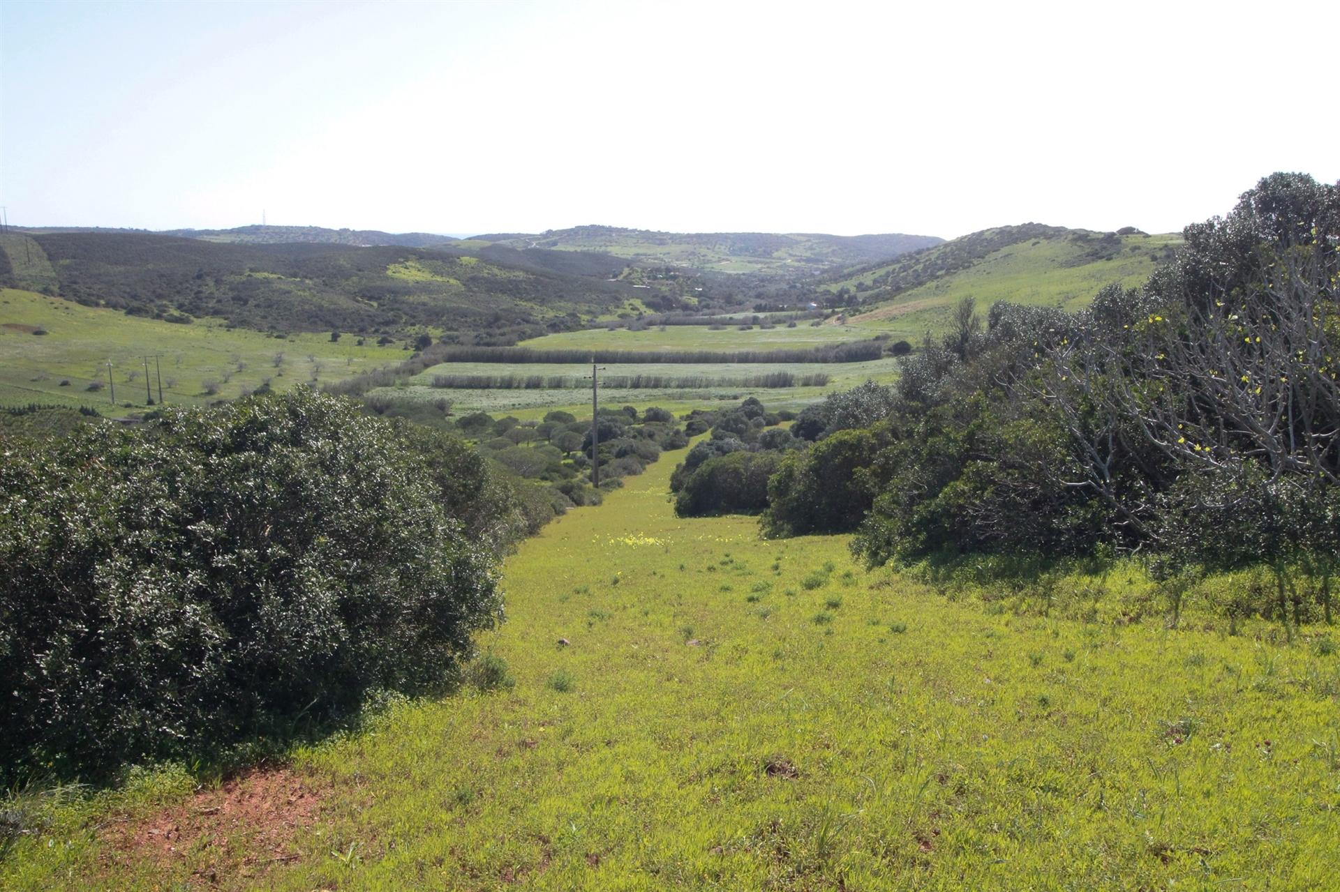 Terreno Rústico com 2.800 m² na Raposeira, Vila do Bispo