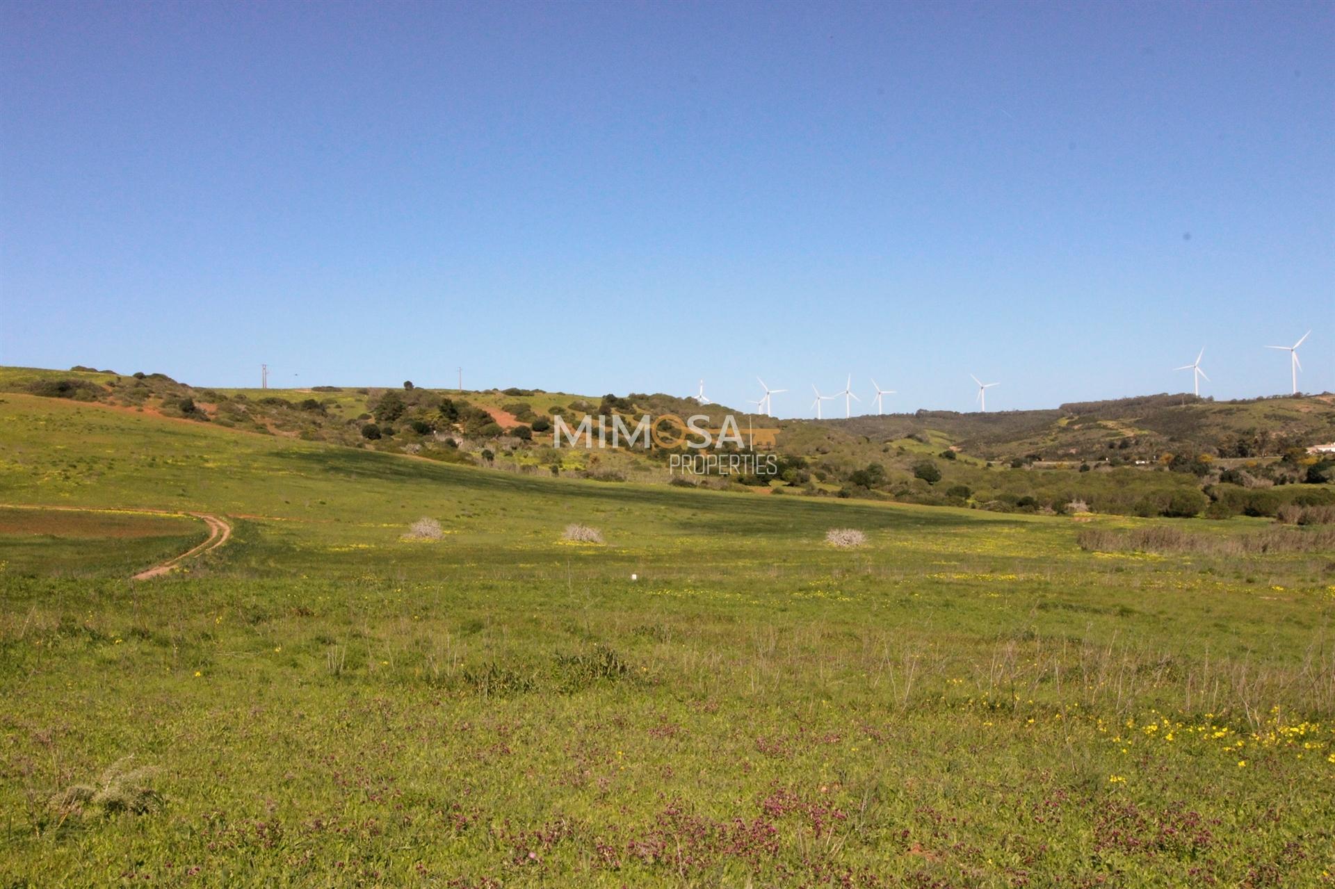 Terreno Rústico com 2 ha na Raposeira, Vila do Bispo