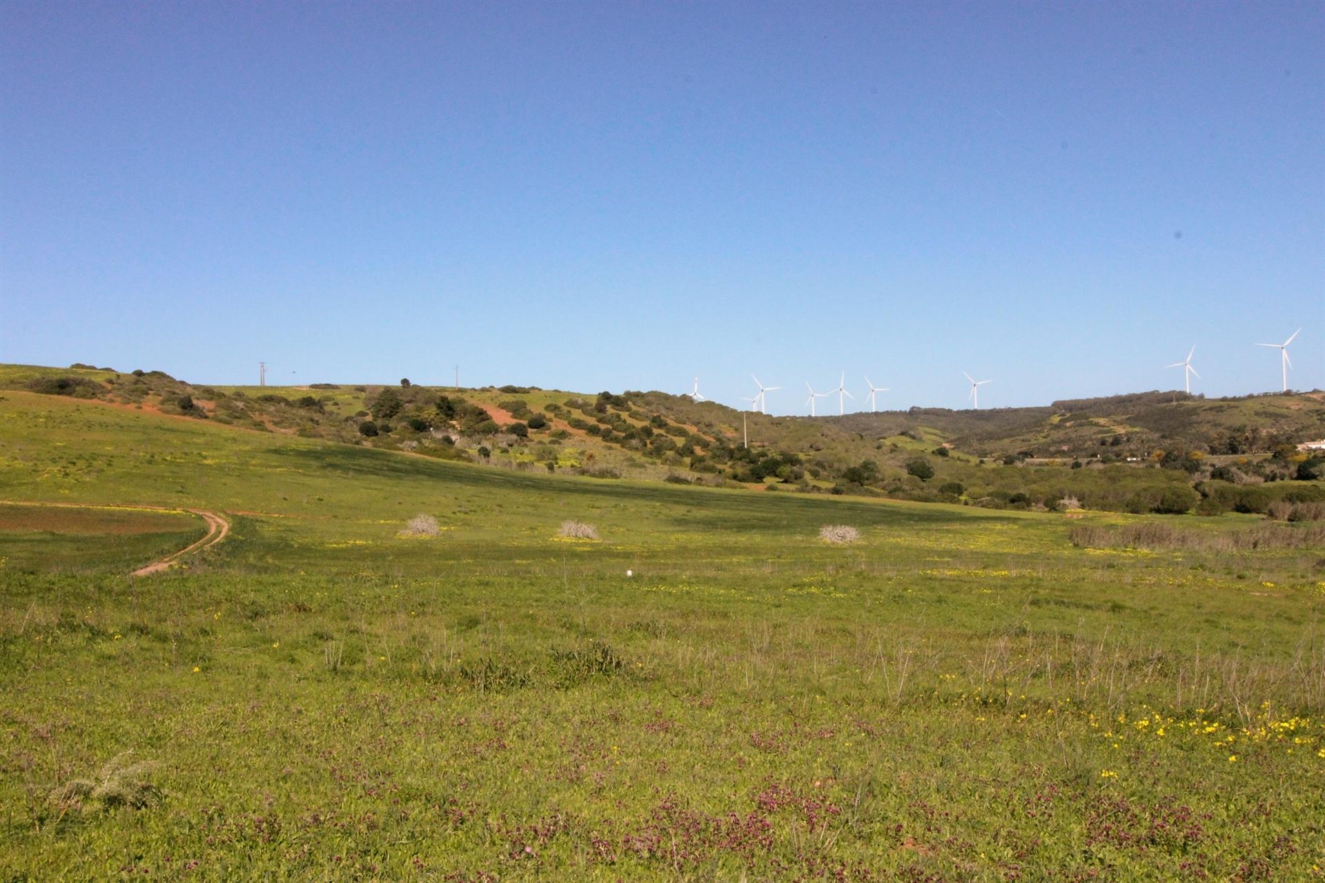Terreno Rústico com 2 ha na Raposeira, Vila do Bispo