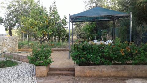 Quinta de 2 quartos com Projeto de Turismo Rural em Lagos