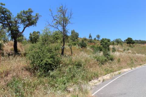 Terreno Misto  com Ruína para Reconstrução em Monchique
