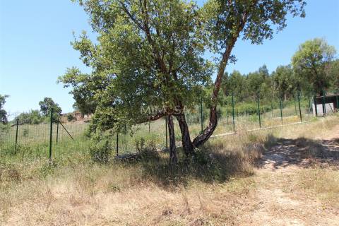 Terreno Misto  com Ruína para Reconstrução em Monchique